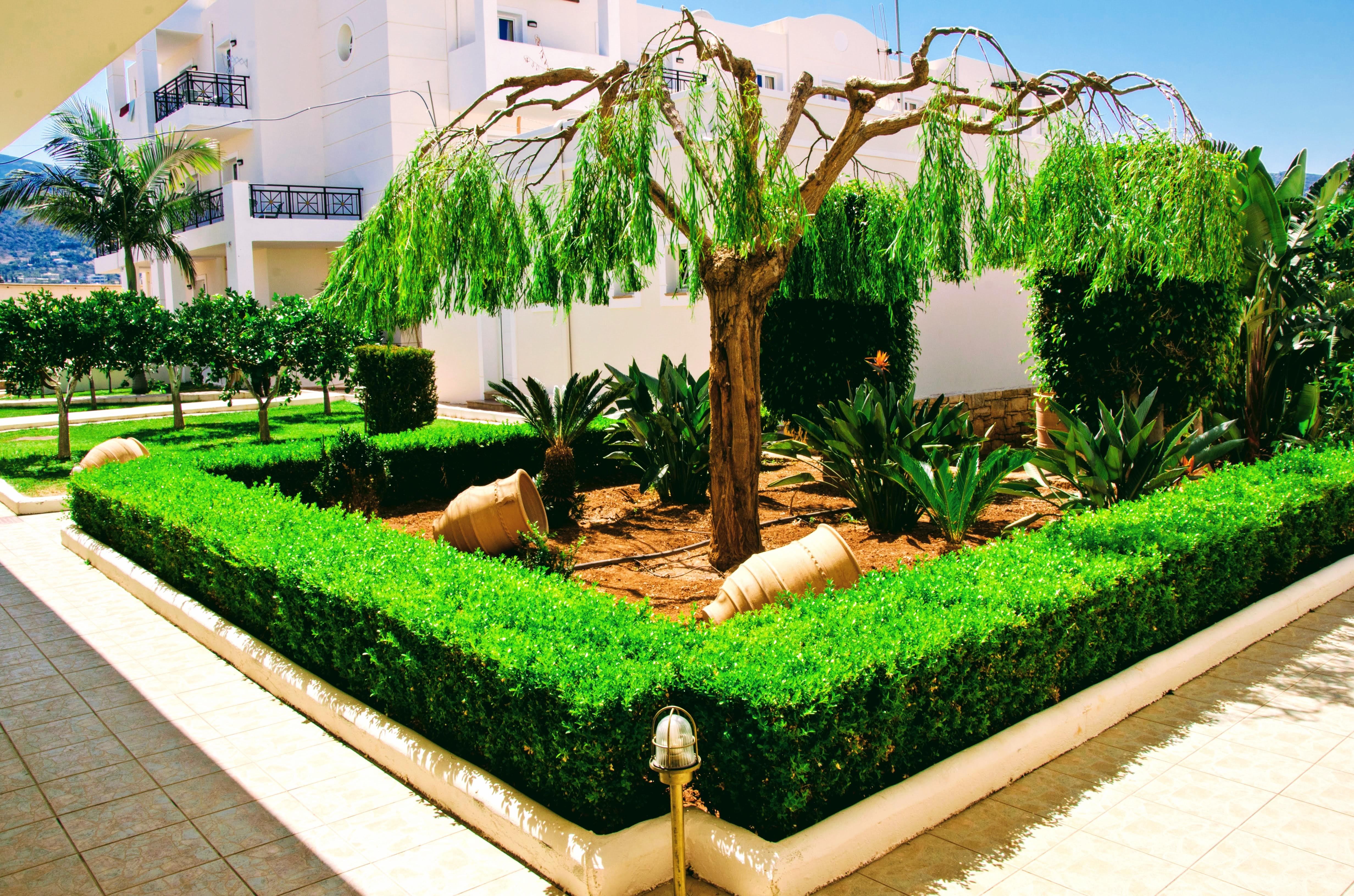 Yiannis Manos Hotel Resort Малиа Экстерьер фото