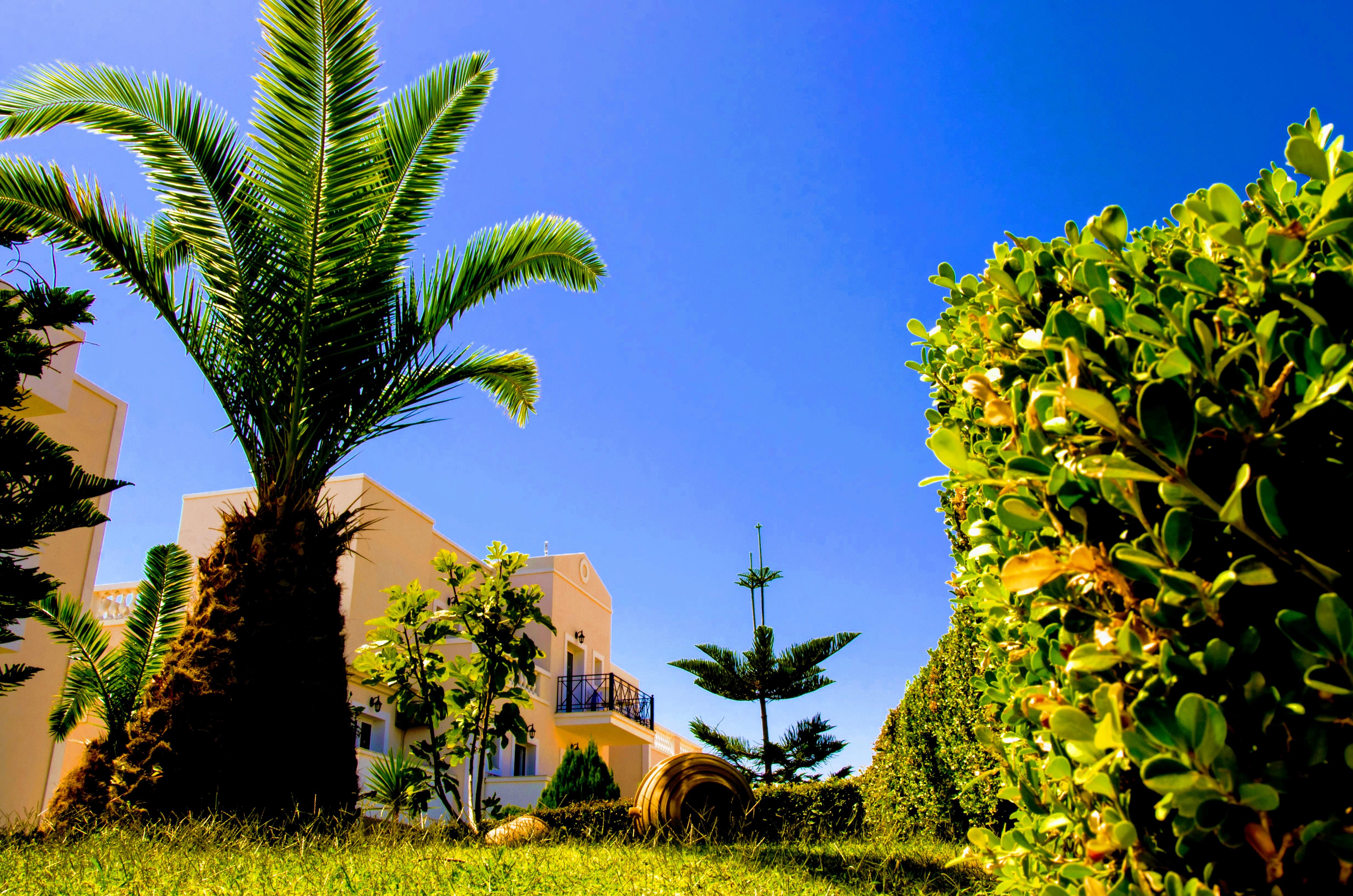 Yiannis Manos Hotel Resort Малиа Экстерьер фото