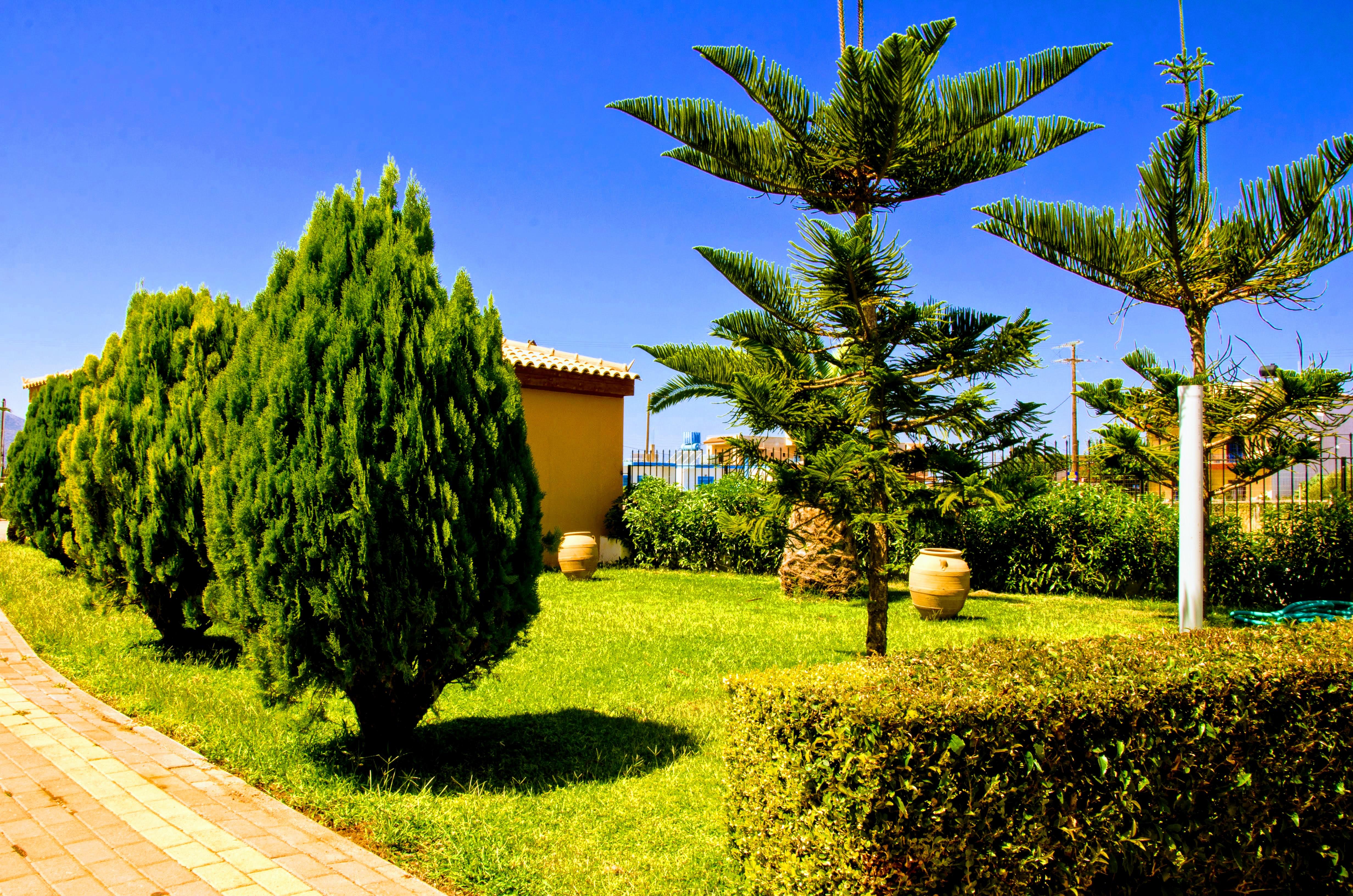 Yiannis Manos Hotel Resort Малиа Экстерьер фото